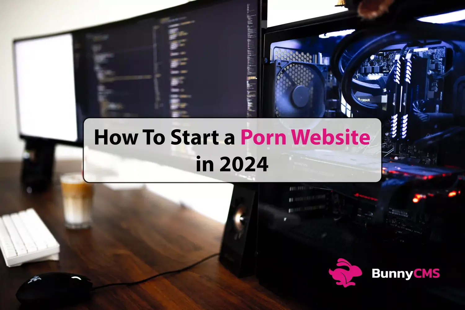 How To Start a Porn Site?
