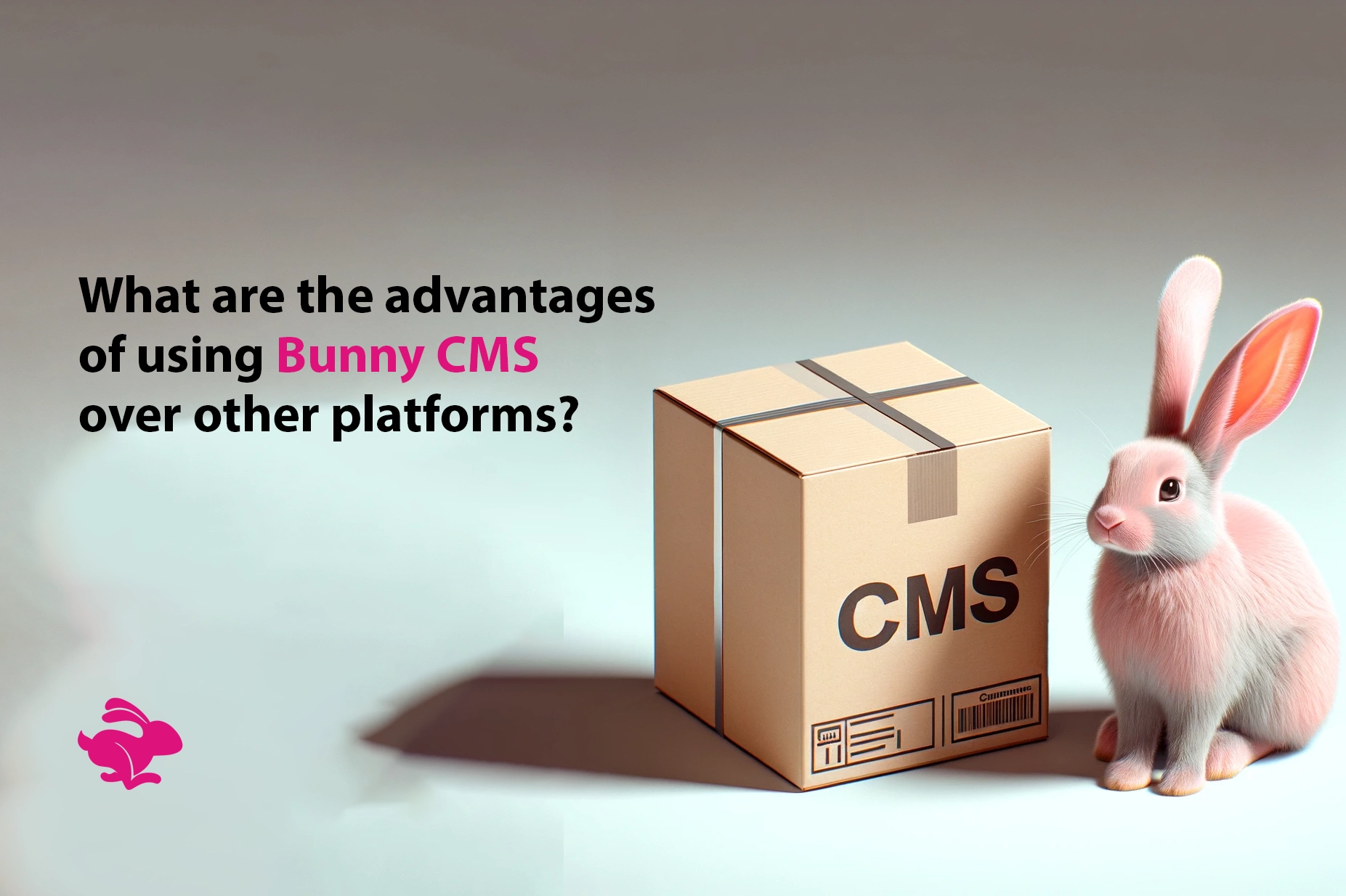 Advantages of using Bunny CMS over other platforms?